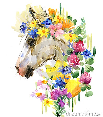 Cute foal watercolor illustration. farm animal Cartoon Illustration