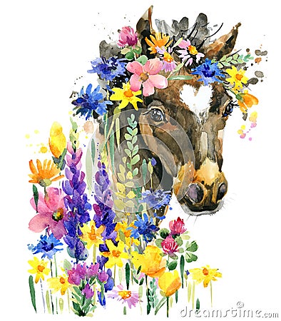 Cute foal watercolor illustration. farm animal Cartoon Illustration