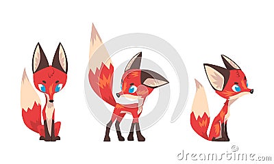 Cute Fox Character with Bushy Brush Tail and Triangular Ears Vector Set Vector Illustration