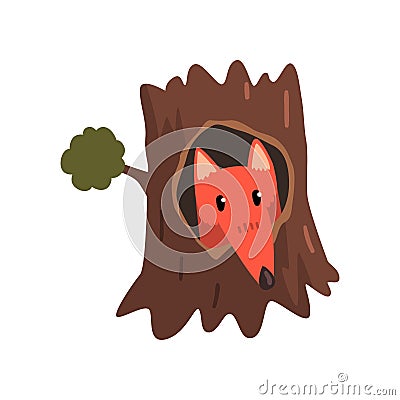 Cute fox sitting in hollow of tree, hollowed out old tree and cute animal cartoon character inside vector Illustration Vector Illustration