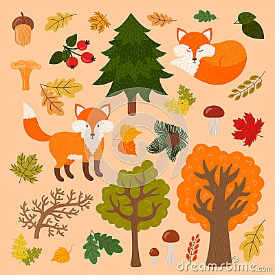 Cute foxes in the forest. Vector Illustration