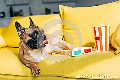 Cute french bulldog lying near 3d glasses and tasty popcorn in bucket on yellow sofa. Stock Photo