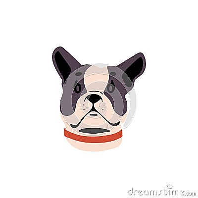 Cute French bulldog muzzle. Adorable toy breed puppy in collar. Amusing lap dog avatar. Funny little doggy face Vector Illustration