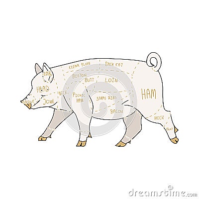 Cute french farmhouse pig butcher chart vector clipart. Hand drawn shabby chic style country farm kitchen. Illustration Vector Illustration