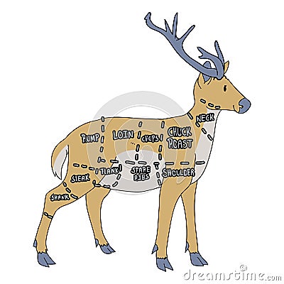 Cute french farmhouse stag butcher chart vector clipart. Hand drawn shabby chic style country farm kitchen. Illustration Vector Illustration