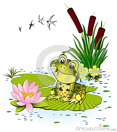 Cute frog Vector Illustration