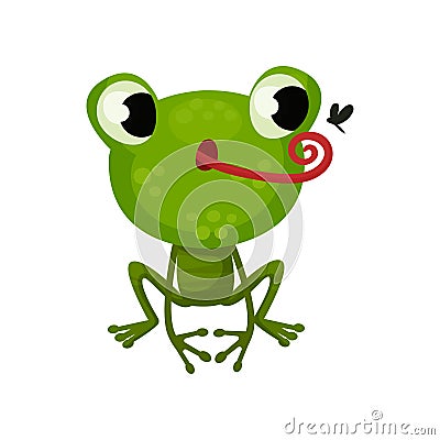 Cute frog hunting on mosquito. Flat vector icon of funny green toad. Cartoon character of amphibian animal Vector Illustration