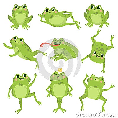 Cute frogs. Green funny frogs in various poses, happy animals group. Smiling active toads, zoo carnivore cartoon vector Vector Illustration