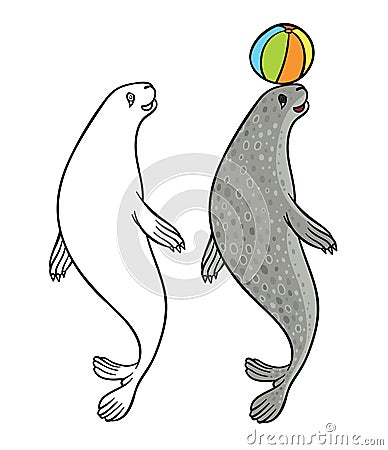 Cute funny cartoon seal Vector Illustration