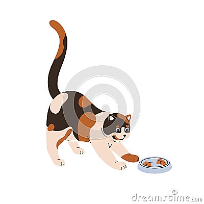 Cute funny cat at food bowl. Happy kitty pet. Adorable lovely hungry feline animal looking, staring at tasty feed. Comic Vector Illustration