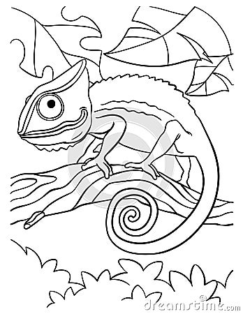 Chameleons Coloring Page for Kids Vector Illustration