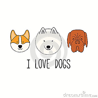 Cute funny corgi, mastiff, Samoyed, puppy faces Vector Illustration