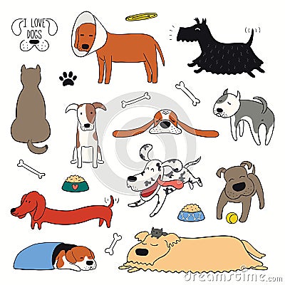 Cute funny different dogs, puppies clipart set Vector Illustration