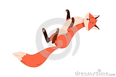 Cute funny fox lying on back. Happy wild forest animal relaxing. Adorable lazy baby character resting with belly up Vector Illustration