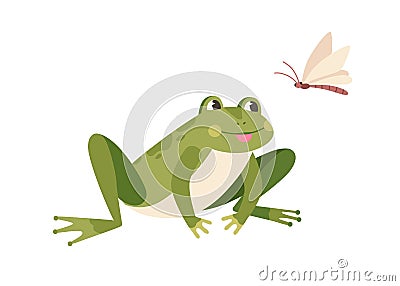 Cute funny frog hunting butterfly. Hungry toad watching for flying insect. Happy little froglet sitting and looking at Vector Illustration