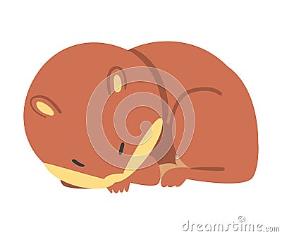 Cute Funny Hamster Sleeping Curled Up, Adorable Animal Character Cartoon Vector Illustration Vector Illustration