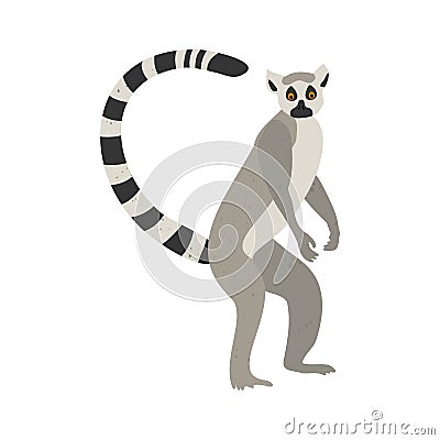 Cute funny lemur on an isolated white background. Vector Illustration