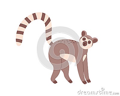 Cute and funny lemur with striped long tail isolated on white background. Happy animal standing on all four paws Vector Illustration