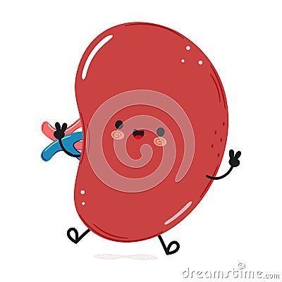 Cute funny Spleen organ jumping character. Vector hand drawn cartoon kawaii character illustration icon. Isolated on Vector Illustration