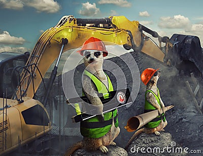 Cute funny suricates - constructor workers Stock Photo