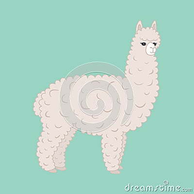 Cute furry alpaca Vector Illustration
