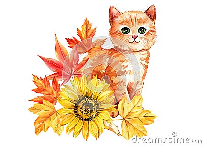 Cute ginger cat, leaves maple and flowers sunflowers, watercolor hand drawing. Autumn poster, Happy animal Cartoon Illustration