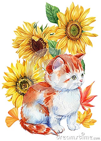 Cute ginger kitten and flowers sunflowers, watercolor hand drawing. Autumn composition, Happy animal Cartoon Illustration