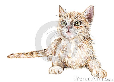 cute ginger kitten Vector Illustration