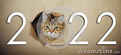 Cute ginger kitten peeks through a hole in craft paper with inscription 2022. Playful and funny pet on a New Year`s poster. Stock Photo