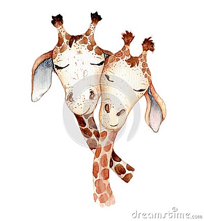 Cute giraffes couple cartoon watercolor illustration animal Cartoon Illustration