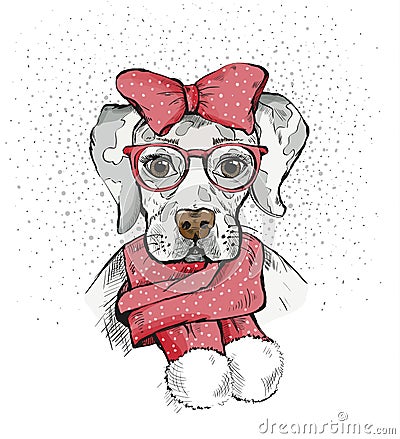 Cute Girl Dog in a winter scarf and red bow on its head. Pedigree dog. Labrador. Vector Illustration