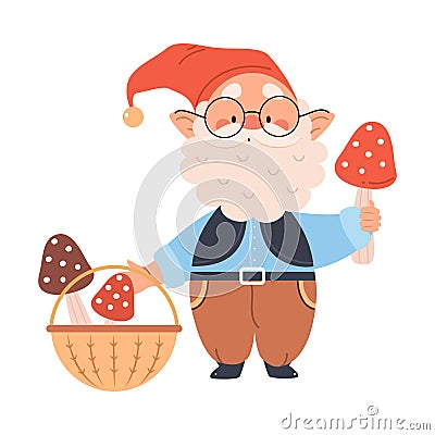 Cute Gnome Character with White Beard in Pointy Hat Picking Mushrooms in Basket Vector Illustration Vector Illustration