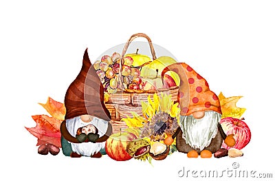 Cute gnomes with autumn fruits, vegetables, flowers. Basket with apples, grape, nuts, maple leaves. Hand painted Stock Photo