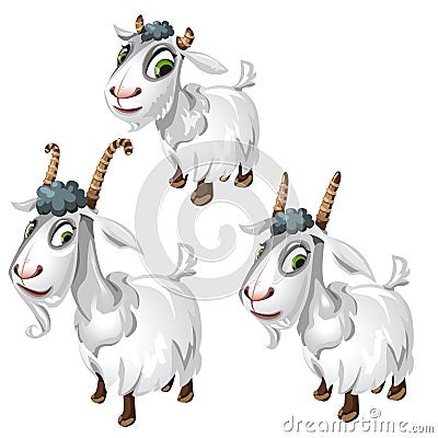 Cute goats with green eyes. Vector animals Vector Illustration