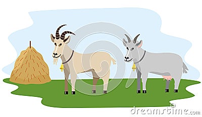 Cute goats vector flat illustration. Farm animal goat Cartoon Illustration