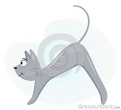 Cute gray cat arches its back vector illustration in flat style, pet. Funny cat stretches. Athlete cat. Banner, poster. Vector Illustration