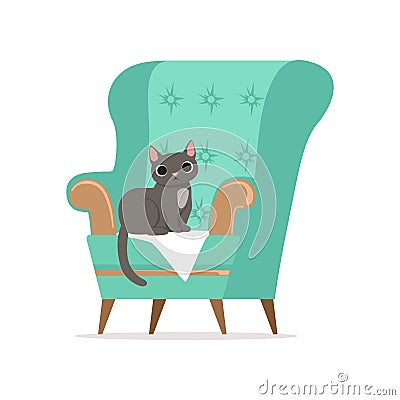 Cute gray cat sitting on a turquoise armchair, home pet resting vector Illustration Vector Illustration