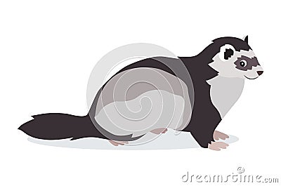 Cute gray ferret icon isolated on white background, small fluffy pet, domestic animal, vector illustration Vector Illustration