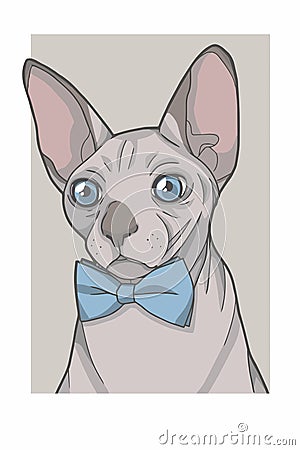 Hairless Sphynx cat with blue bowtie portrait vector graphic illustration Cartoon Illustration