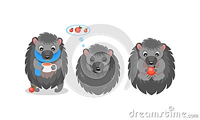 Cute Gray Hedgehog Character Eating Apple and Drinking Coffee Vector Set Vector Illustration