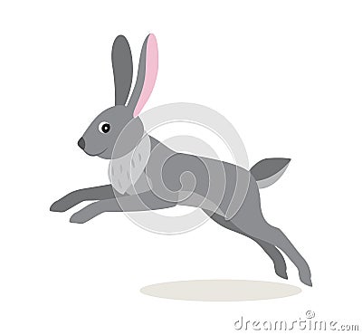 Cute gray jumping rabbit hare isolated on white background Vector Illustration