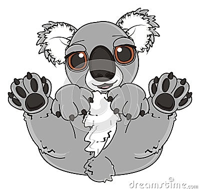 Cute gray koala Stock Photo