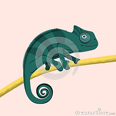 Cute green chameleon walking on tree branch, vector illustration Vector Illustration