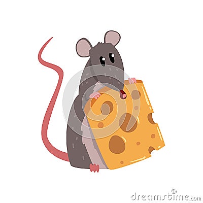 Cute grey mouse holding piece of cheese, funny rodent character vector Illustration on a white background Vector Illustration