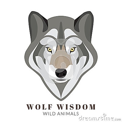 Cute grey wolf Vector Illustration