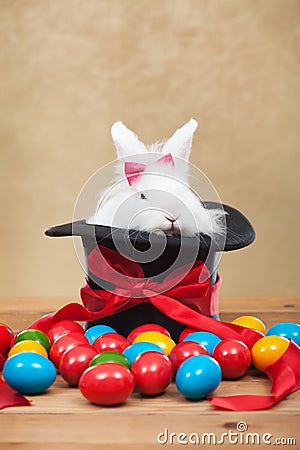 Cute but grumpy easter bunny with colorful dyed eggs Stock Photo