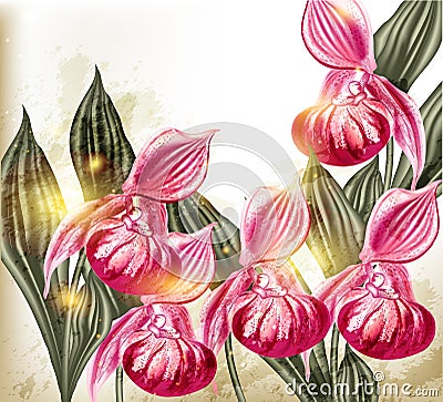 Cute grunge vector background with realistic pink orchid flowers Cartoon Illustration