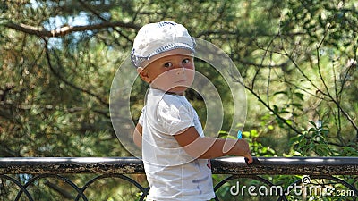 Cute half-standing child holding on to a fence. Trees on background Stock Photo