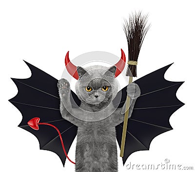 Cute halloween cat in bat devil costume with broom - isolated on white Stock Photo