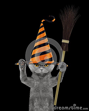 Cute halloween cat in funny hat with broom - isolated on black Stock Photo